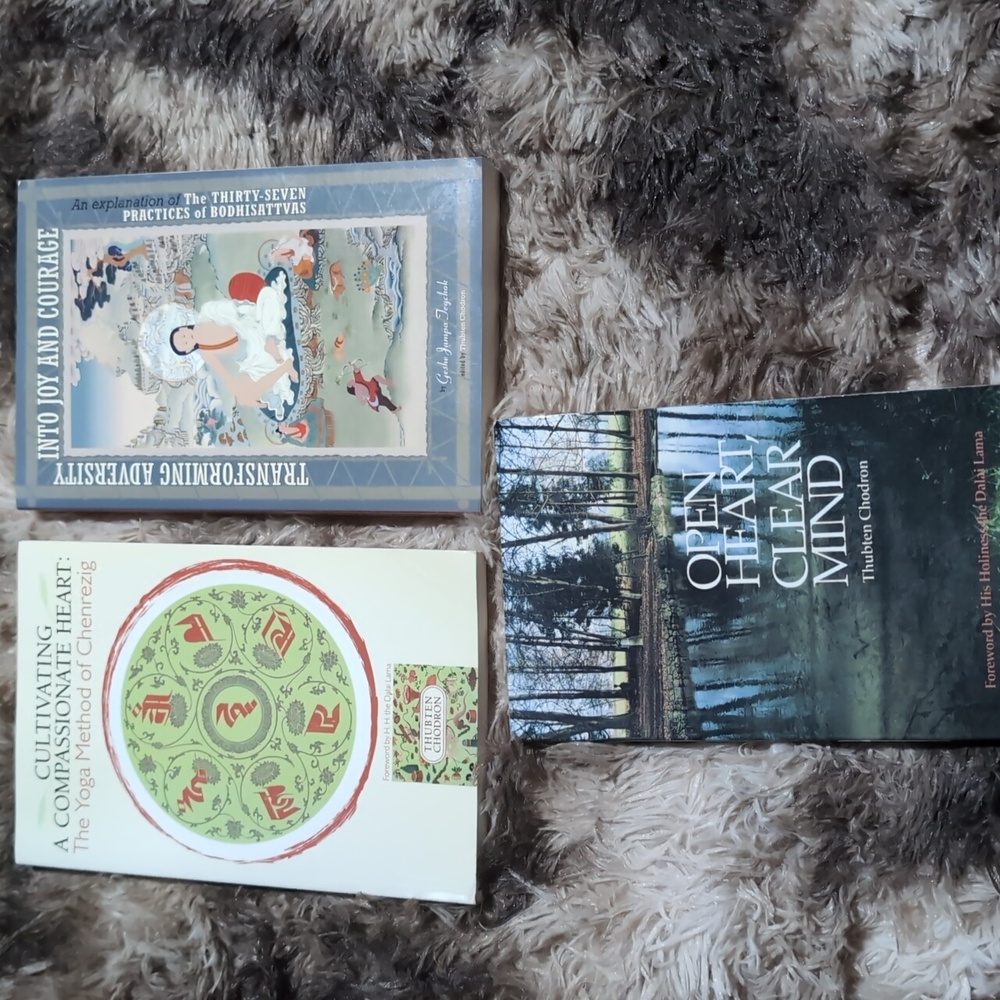 Buddhism Book Bundle